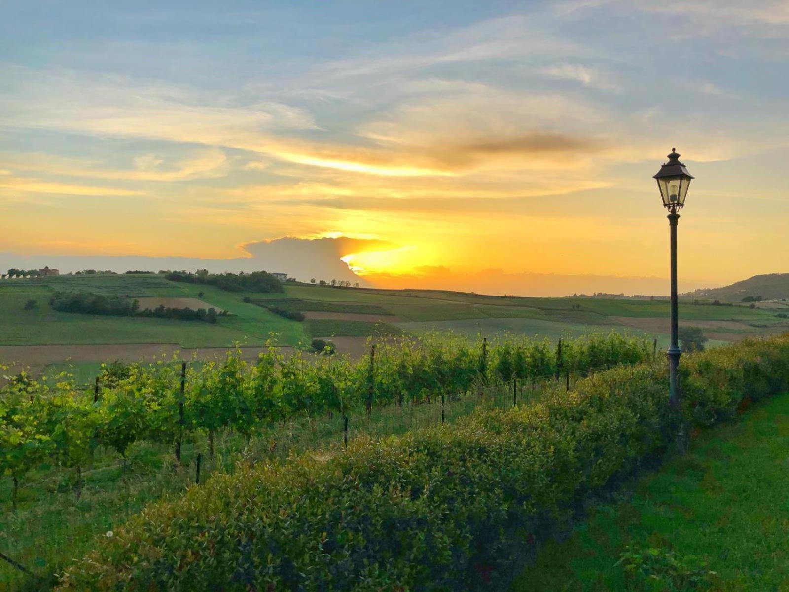 Relais Castello Di Razzano Hotel Alfiano Natta Luaran gambar